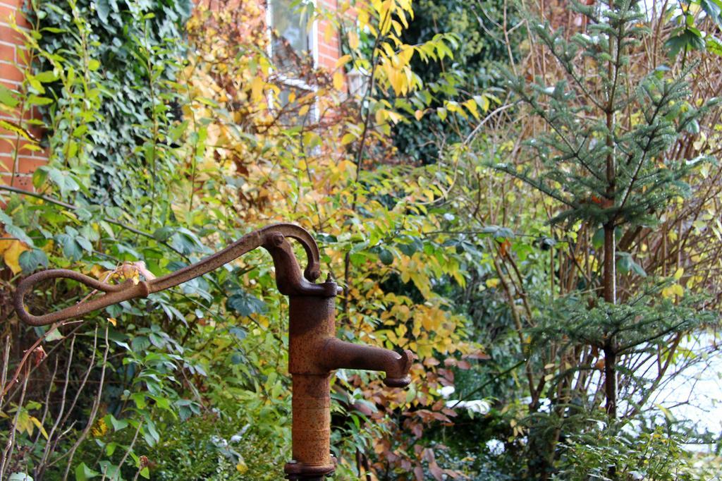 Ferienwohnung Zinne-Wigger Steimbke Exterior photo